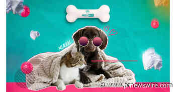 Crescimento dos custos com os animais domésticos faz aumentar procura por "assistência pet"