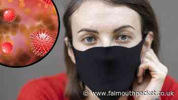Coronavirus in Cornwall round up: Monday, February 14 - Falmouth Packet