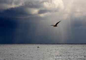 Voici les cumuls de pluie relevés en 24h dans les Alpes-Maritimes et le Var