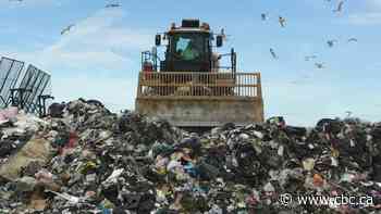 U of Sask., City of Saskatoon collaborate on food waste reduction research