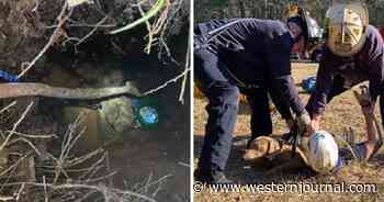Photos: Firefighters Rescue Dog That Fell Down Narrow, 15-Feet-Deep Hole