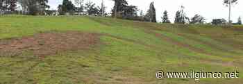Parco centrale, Pizzichi: «Prato indecoroso dopo il ciclocross. Adesso chi paga?» - Foto, Photogallery - IlGiunco.net
