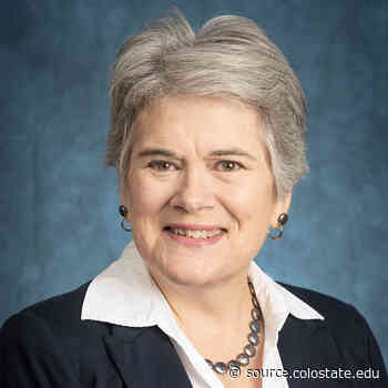 Five minutes with Vice Provost for International Affairs Kathleen Fairfax - Source