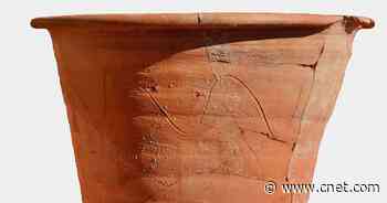 Scientists Use Ancient Parasite Eggs to Identify Roman Toilet Pots     - CNET