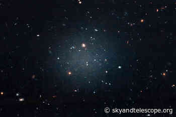 How Galaxies Lose Their Dark Matter