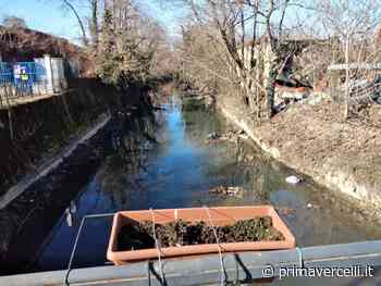 «Una vera indecenza, mai visto il Cervetto in queste condizioni» - Prima Vercelli