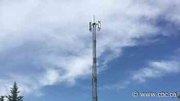 'Lives at stake': Northern Sask. First Nation on 12-year hold for cell service