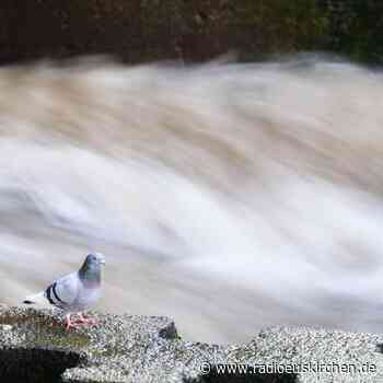 WMO-Generalsekretär: Jugend nicht zu viel Angst machen - radioeuskirchen.de