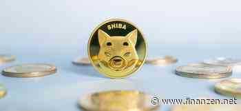 Kryptowährung Shiba Inu: Ether-Wal kauft mehrere Milliarden SHIB-Token