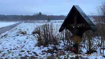 Gauting: Unbekannte zerstören Gedenkkreuz für Galina - Mordfall erschüttert immer noch und bleibt ungelöst - Merkur.de