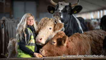 Dresden: Tierschützerin träumt von Gnadenhof für Rinder - Sächsische.de