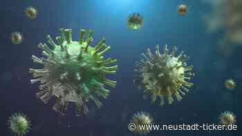 Corona-Infos für Dresden 13. Februar - Neustadt-Geflüster