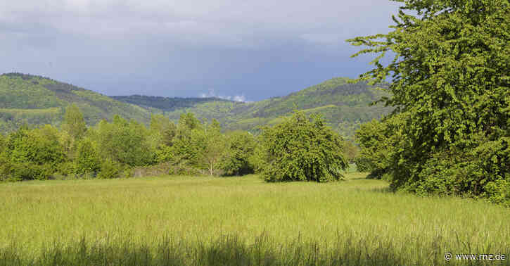 Heidelberg:  Theresia Bauer schlägt einen Solarpark auf dem Hühnerstein vor