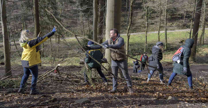 Heidelberg:  30 Helfer sammelten Totholz für die Buchen - "Waldwende" nicht dabei