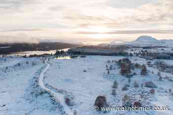 Fund launched to boost innovative rewilding projects and bring back nature - Ealing Times