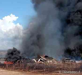Incendio nei campi di Ardea: bruciano anche carcasse di auto - Canale Dieci