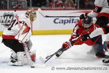 Tkachuk, Brown lead Senators past Capitals 4-1 - Dawson Creek Mirror