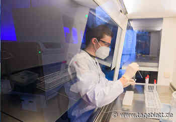 Corona-Lage: Zwei weitere Todesfälle im Landkreis Stade - TAGEBLATT: Nachrichten aus Stade, Buxtehude und der Region - Tageblatt-online