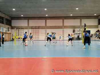 Serie B2, il campionato della Lavinia Group Trani riparte con una sconfitta - ilgiornaleditrani - Radio Bombo