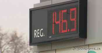 Calgarians could see even higher gas prices come spring, experts warn - Global News