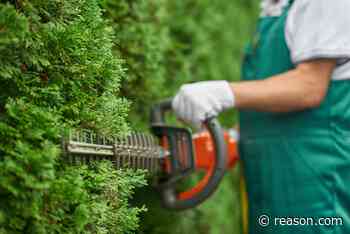 An Austin Zoning Technicality Made His Landscaping Business Illegal Overnight - Reason