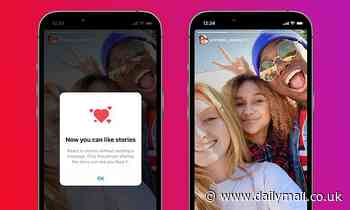 Instagram launches Private Story Likes so users can respond to Stories with a 'heart'