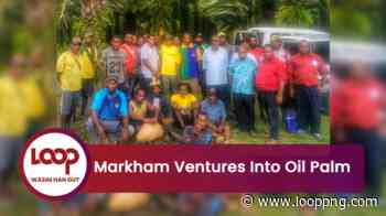 Markham Ventures Into Oil Palm - Loop PNG