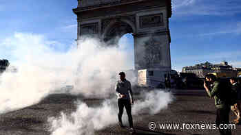 Paris police use tear gas against protesters inspired by Canadian 'Freedom Convoy'