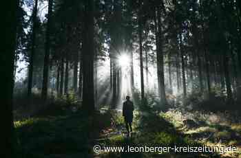 Lukas Hutter wird neuer Revierleiter - Wechsel im Forstrevier Renningen - Leonberger Kreiszeitung