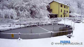 Parma e provincia imbiancate dalla neve - ParmaToday