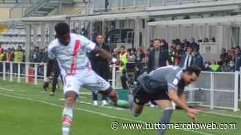 Cremonese-Parma, i convocati di Pecchia: rientrano Okoli e Sernicola, ancora out Crescenzi - TUTTO mercato WEB