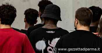 «Basta, ora metto le telecamere» - Gazzetta di Parma