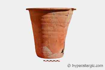 Ancient Roman Porta-Potties