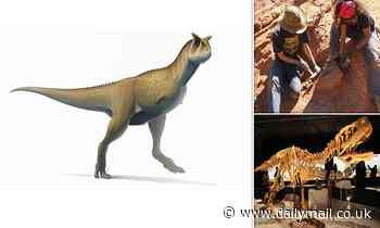 ARMLESS dinosaur roamed Argentina 70 million years ago and could take down prey with its huge jaws