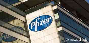 Vicenda Pfizer Catania, in corso incontri con sindacati: lavoratori in protesta davanti Confindustria - NewSicilia