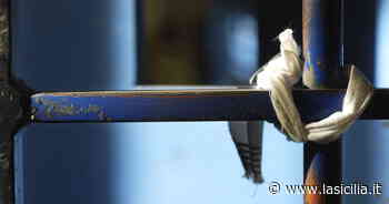 Arrestata per droga a Catania, si toglie la vita in carcere a Messina - La Sicilia