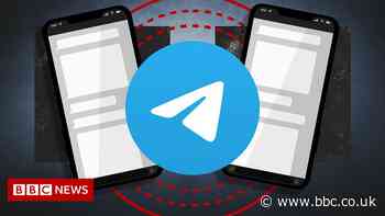 Telegram: What's behind the social media app's growing popularity?