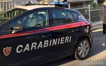 Catania, maltrattamenti in famiglia: arrestato 74enne - Sky Tg24