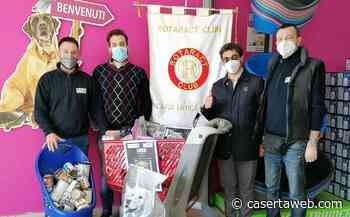 Il Rotaract Club Capua Antica e Nova ha raccolto 150 chili di cibo da devolvere al canile di Pastorano | - CasertaWeb