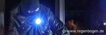 Weinheim: Einbruch in zwei Schulgebäude - Regenbogen