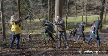 Heidelberg: 30 Helfer sammelten Totholz für die Buchen - "Waldwende" nicht dabei - Rhein-Neckar Zeitung