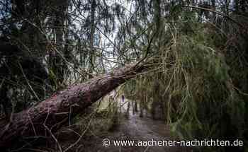 Unwetter: Schwere Stürme und Orkanböen in der Region erwartet