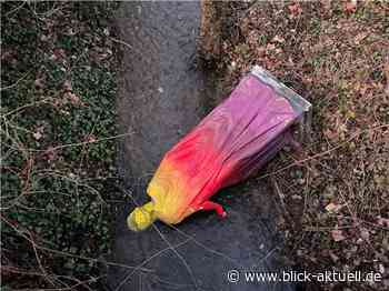 Zerstörungswut in Sinzig: Barbarossa landet im Bach - Blick aktuell