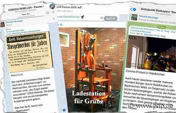 So ordnen Experten Beiträge aus radikalen Querdenkergruppen ein - Passauer Neue Presse