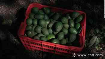 US suspends avocado imports from Mexico