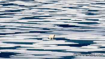 Climate grant illustrates growth in philanthropy-funded news - Belleville News-Democrat