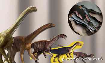 Dinosaur that roamed Brazil 230 million years ago is hailed as a 'missing link' in evolution