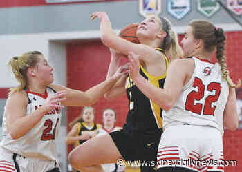 Girls basketball: Sidney pulls away, beats Tecumseh in sectional opener - sidneydailynews.com