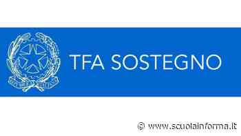 Nuovo TFA sostegno: i requisiti di accesso per ogni ordine e grado - Scuolainforma