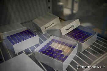 Covid, «Nessuna variante è in grado di bucare i vaccini» - MetroNews - Metro